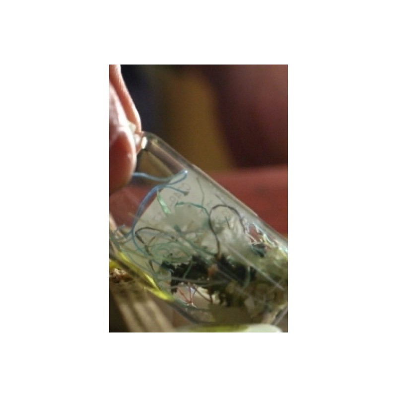 Océans, le mystère plastique - proj publique