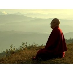 Un monde sans humains - proj publique