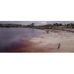 Un monde sans humains - proj publique