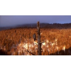 Un monde sans humains - proj publique