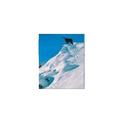 Jura, instants volés - proj publique