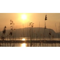 Rencontres animales - proj publique