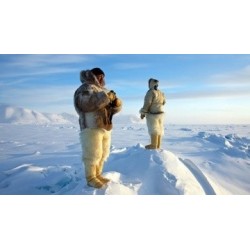 Un monde sans humains - proj publique