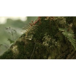 Opération biodiversité - proj publique