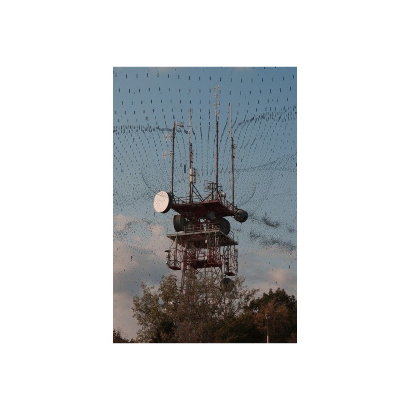 Prisons sans barreaux - proj publique