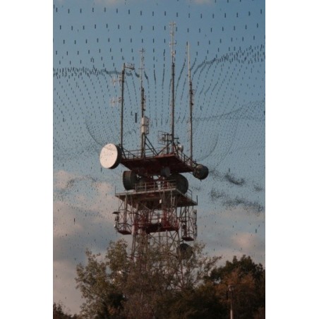 Prisons sans barreaux - proj publique