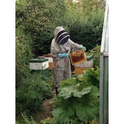 Un monde sans humains - proj publique