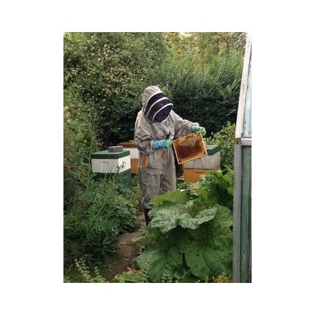 Un monde sans humains - proj publique