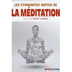 Vertus méditation - proj publique
