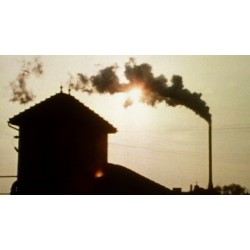 Vivre avec les loups - proj publique