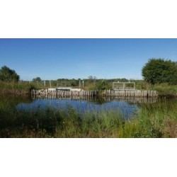 Vivre avec les loups - proj publique