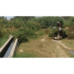 Dobra voda - proj publique