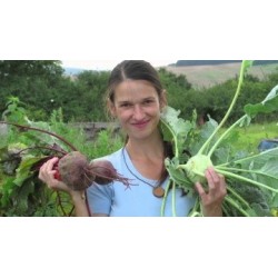 Dobra voda - proj publique