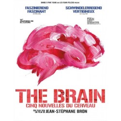 Cinq nouvelles  du cerveau - the brain