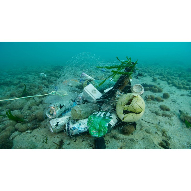 Au nom de la mer - proj publique